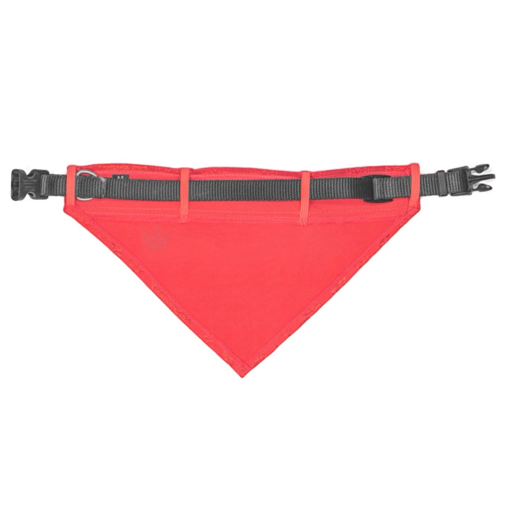 Coral Island Pet Bandana