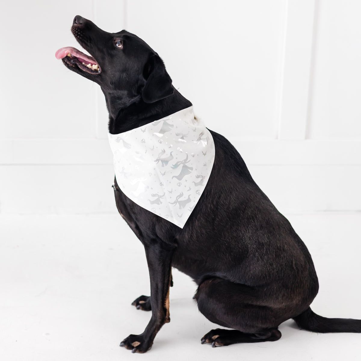 Disney Tim Burton's The Nightmare Before Christmas Zero Pet Bandana